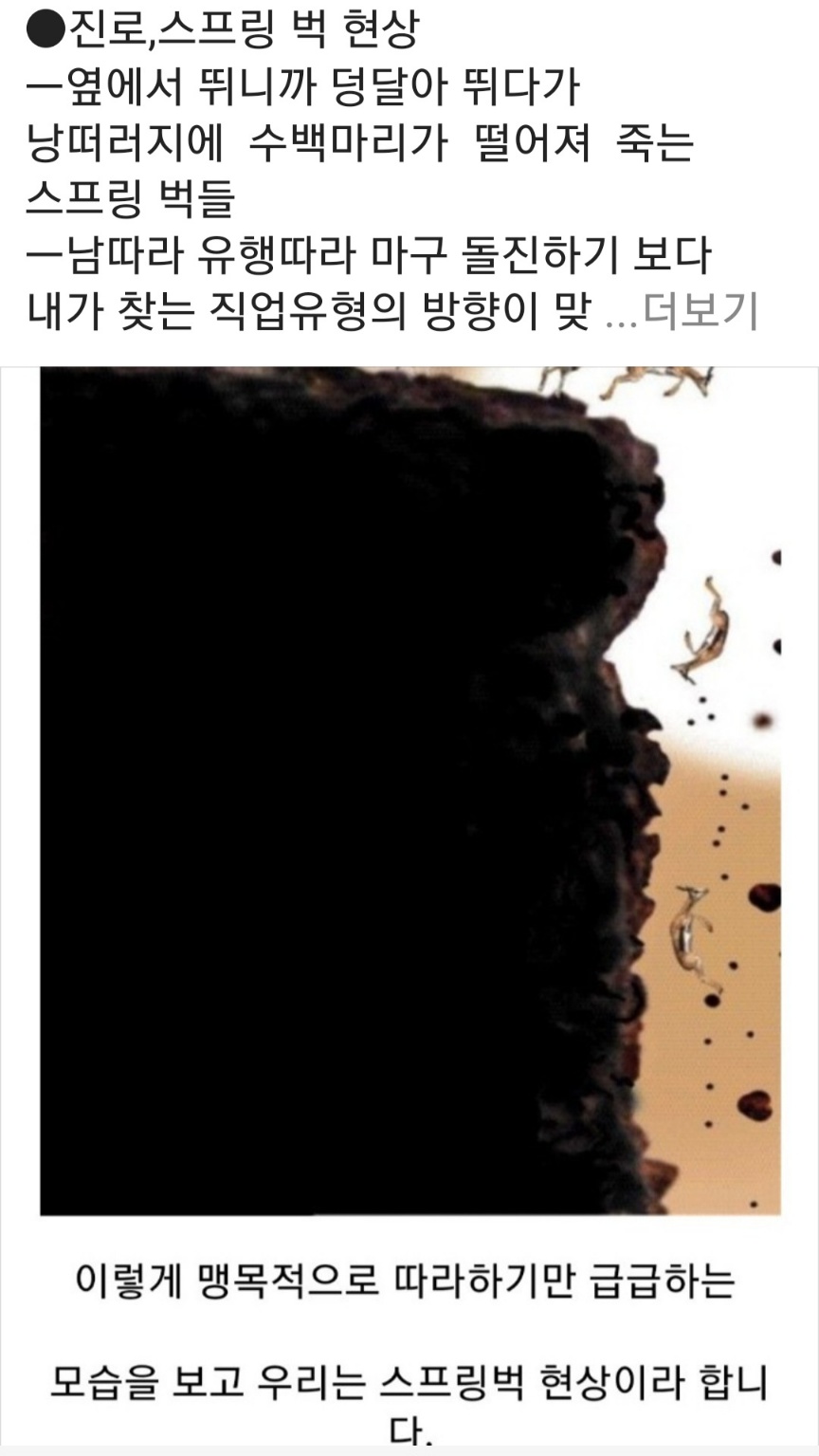 /user/d/dreamseum/editor/2309/7533da4a6acdd7396bb7a6e94f0af1a2_1695466178_4555.jpg 이미지크게보기